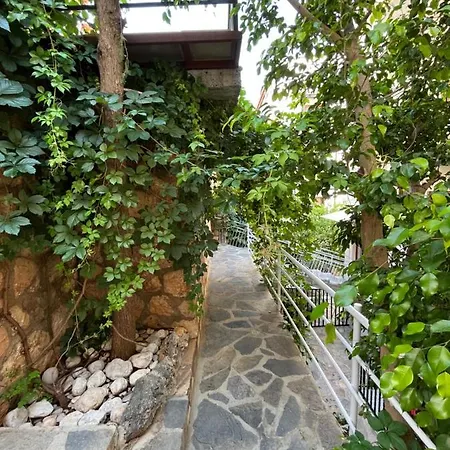 Hotel Talay *